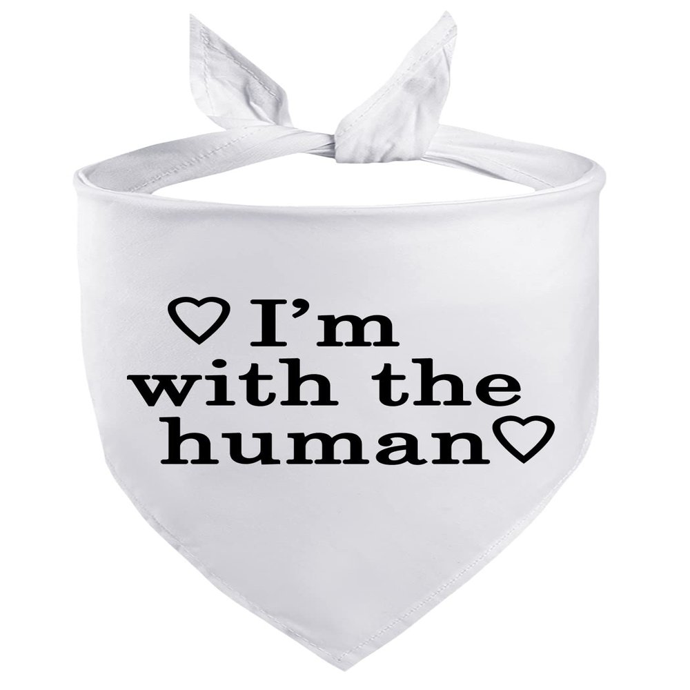 Petitebelle I'm With The Human Pet Bandana, Large, White