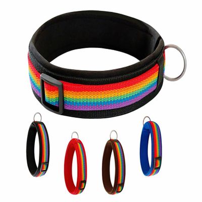 Buddypack Rainbow Wide, Soft-Padded Dog Collar (Black, S/M)