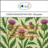 Sala Organic Cold-Pressed Milk Thistle Oil, 1 L, 1,000 ml Glass Bottle view 4