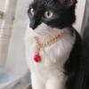 Ruluti Rhinestones Cat Collar - Gold Chain view 2