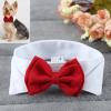 YUANstore Adjustable Bow Tie for Dogs and Puppies view 3