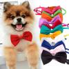 YUANstore Dog Collar with Bowtie view 4