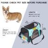 Pineapple Pet Carrier with Lifebuoy, Soft-Sided, Foldable, Airline-Approved view 2