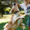 CollarDirect Reflective Dog Collar for Small to Large Dogs view 4