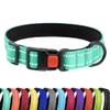 CollarDirect Reflective Dog Collar, Waterproof Nylon, Quick-Release view 1