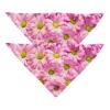 2-Pack Dog Bandana, Pink Daisy view 1