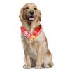 Dog Bandanas with Glittering Hearts, Chiffon Triangle Bibs, 2-Pack view 2