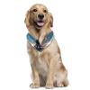 Dog Bandanas, 2-Pack, Chiffon Triangle Bibs for Small, Medium, and Large Dogs, Puppies, and Cats view 2