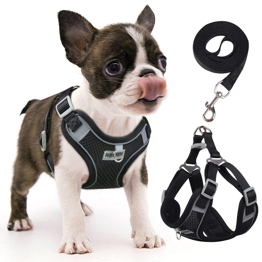 rennaio No-Pull Dog Harness