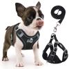 rennaio No-Pull Dog Harness view 1