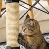 JustKyojin Cat Scratching Mat, Sisal, Beige view 4