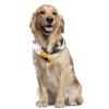 Dog Bandanas, 2-Pack, Cute Pug with Guitar, Chiffon Triangle Bibs view 2