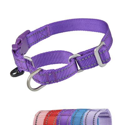 YUDOTE Reflective Martingale Dog Collar, Escape-Proof No-Pull Training Collar with Safety Quick-Release Buckle for Narrow-Headed Dogs, Large, Purple