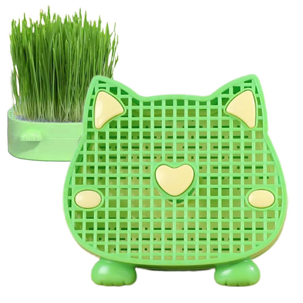 Hemousy Cat Grass Plant Tray