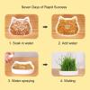 Hemousy Cat Grass Plant Tray view 2