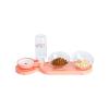 Double Cat Bowls Pet Food Feeder and Water Dispenser with Raised Stand (Color: 2) view 1
