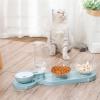 Double Cat Bowls Pet Food Feeder and Water Dispenser with Raised Stand (Color: 2) view 3