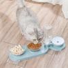Double Cat Bowls Pet Food Feeder and Water Dispenser with Raised Stand (Color: 2) view 4