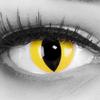 Funnylens 1 Pair Yellow Cat-Eye Colored Contact Lenses, -1.00 Diopters view 1