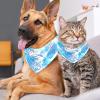 Dog Bandanas, Palm on Blue Geometric Design, 2-Pack view 4
