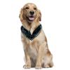 Dog Bandanas, Colorful Music Party Design, Chiffon, 2-Pack view 2