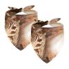 African Savanna Zebra Chiffon Dog Bandanas, 2-Pack view 1