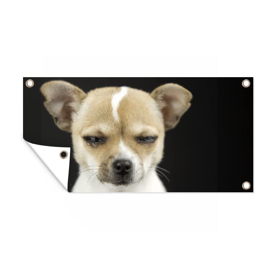 MuchoWow Outdoor Poster, Garden Wall Decor, 160 x 80 cm, Dog Portrait