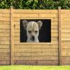 MuchoWow Outdoor Poster, Garden Wall Decor, 160 x 80 cm, Dog Portrait view 3