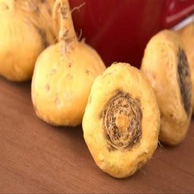 Yellow Maca Lepidium meyenii, 100 Seeds