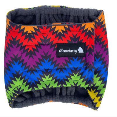 Glenndarcy Waterproof Belly Band for Male Dogs, Urine Marking/Incontinence, Rave (2 Washable Pads, XL)