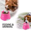 Long Ears Elevated Dog Bowl, Pink view 4