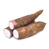 Quast Horseradish Cassava | Fresh Cassava | Yuca Fresca | per kg view 1