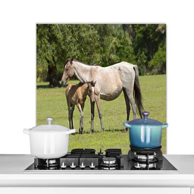 MuchoWow Kitchen Backsplash, Aluminum Poster, 80 x 55 cm, Horses – Grass – Shadow