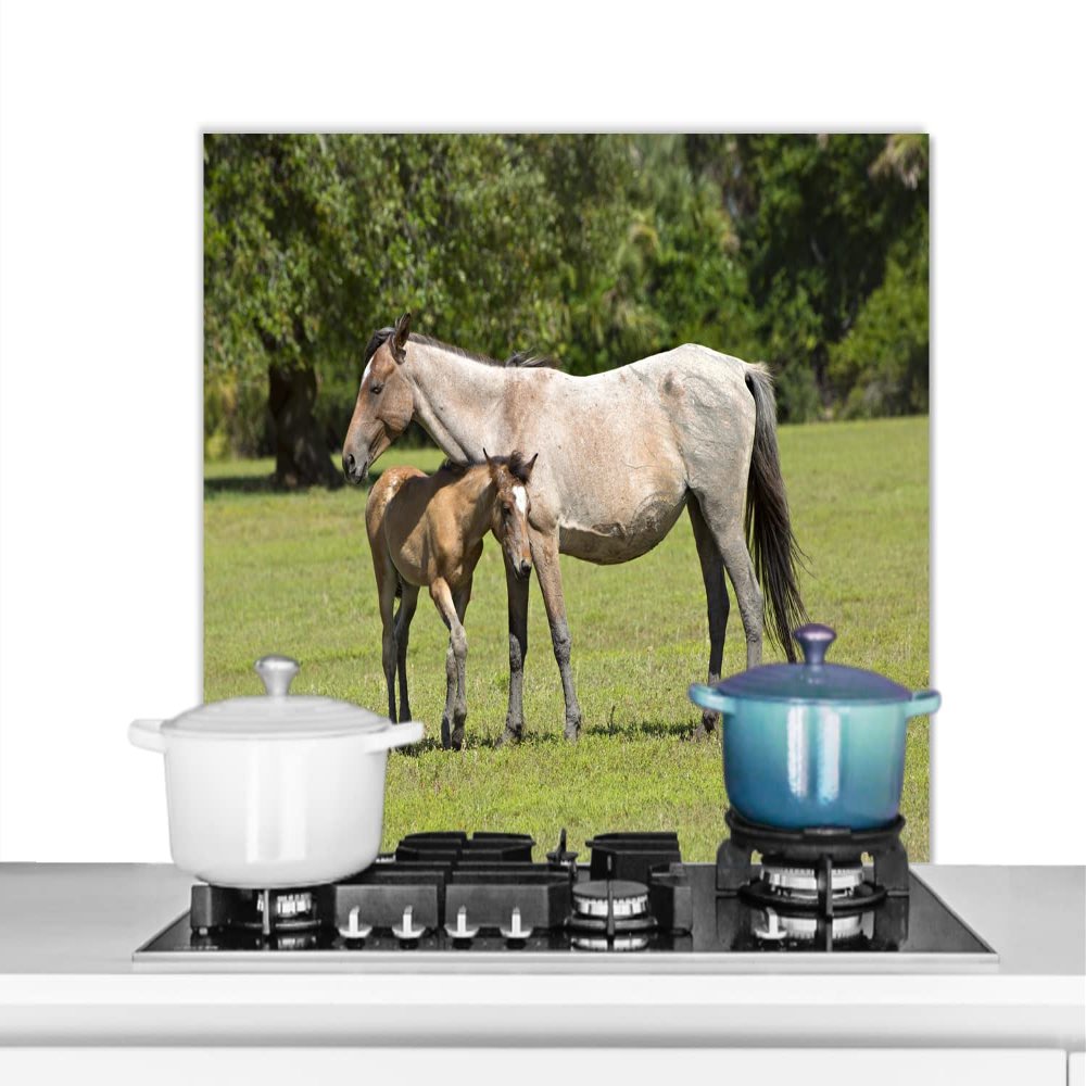 MuchoWow Kitchen Backsplash, Aluminum Poster, 80 x 55 cm, Horses – Grass – Shadow