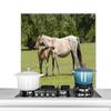 MuchoWow Kitchen Backsplash, Aluminum Poster, 80 x 55 cm, Horses – Grass – Shadow view 1