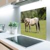 MuchoWow Kitchen Backsplash, Aluminum Poster, 80 x 55 cm, Horses – Grass – Shadow view 2