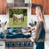 MuchoWow Kitchen Backsplash, Aluminum Poster, 80 x 55 cm, Horses – Grass – Shadow view 3