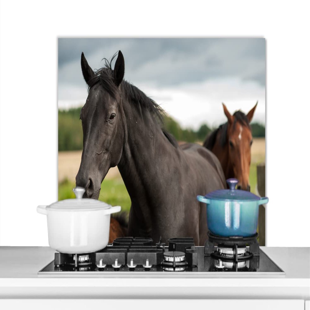 MuchoWow Splash Guard Kitchen Wall Art 80x55 cm Horses - Meadow - Sweden
