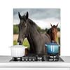 MuchoWow Splash Guard Kitchen Wall Art 80x55 cm Horses - Meadow - Sweden view 1