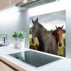 MuchoWow Splash Guard Kitchen Wall Art 80x55 cm Horses - Meadow - Sweden view 2