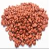 Smooth Candied Dragée Peanuts, 2.5 kg view 1