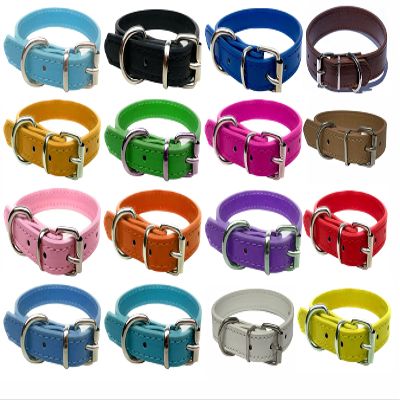 Vibrant Leather Dog Collar for Puppies, Cats, and Dogs