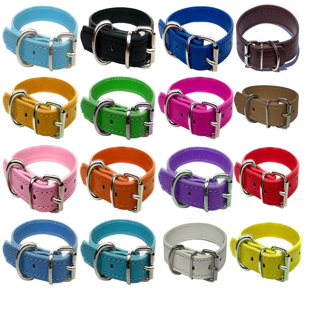 Vibrant Leather Dog Collar for Puppies, Cats, and Dogs