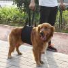 Cyrank Dog Lift Harness, Rear-Leg Support Sling with Handle, L view 2