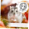 iplusmile Hamster Exercise Wheel for Chinchillas and Small Animals view 4