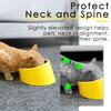 SuperDesign 15-Degree Tilt Dog Bowl view 3