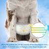 Pet Soft Disposable Dog Diapers (M-48 Count) view 3