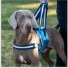 WLDOCA Dog Support Harness and Lift Sling for Walking and Stairs view 2