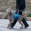WLDOCA Dog Support Harness and Lift Sling for Walking and Stairs view 4