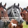 LAX Crunchy Hay & Alfalfa Sticks for Horses, 28 kg (32 Sticks) view 3